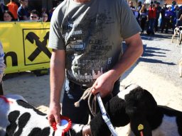 2019_ausstellung polling_644